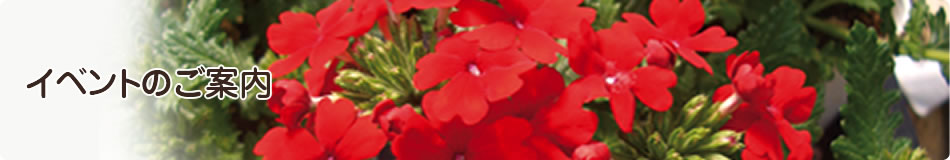 イベントのご案内