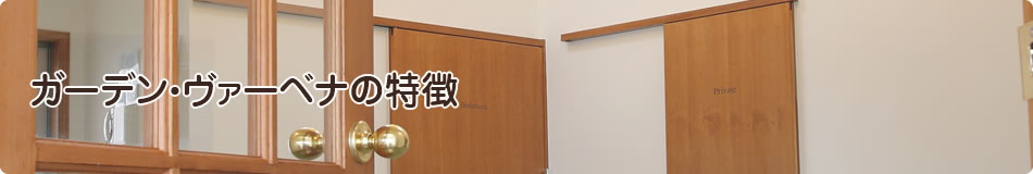 ガーデン・ヴァーベナの特徴